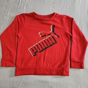 Puma Red Sweatshirt Vibrant Cotton Blend Hoodie